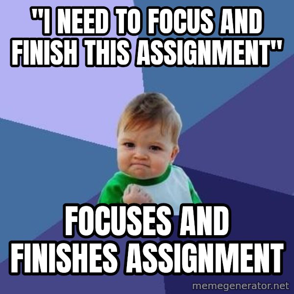 Success Kid meme: "I Need to Focus and finish this assignment" / Focuses and Finishes assignment