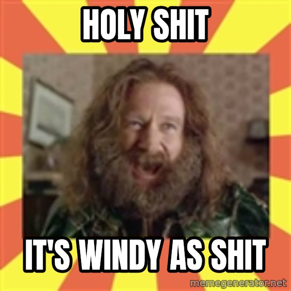 Robin Williams meme: Holy shit / it's windy as shit