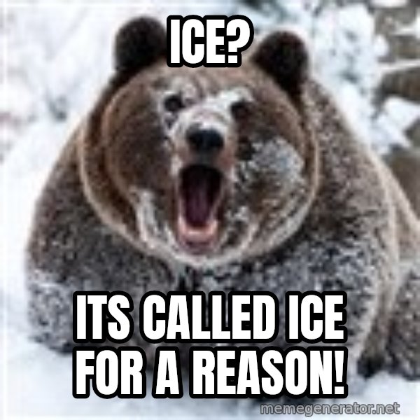 Clean Cocaine Bear meme: ice? / its called ice for a reason!