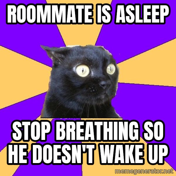 Anxiety Cat meme: roommate is asleep / stop breathing so he doesn't wake up