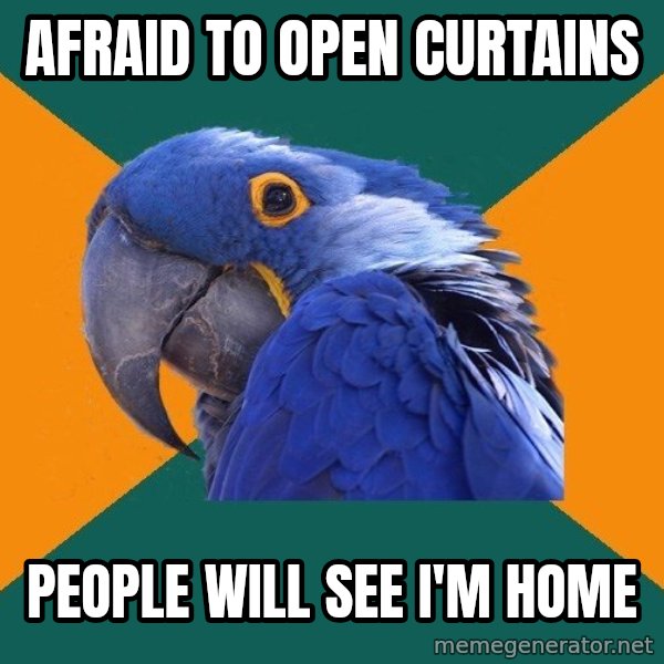 Paranoid Parrot meme: afraid to open curtains / people will see i'm home