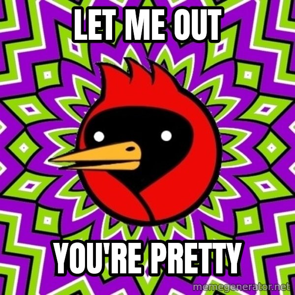 Omsk Crow meme: let me out / you're pretty