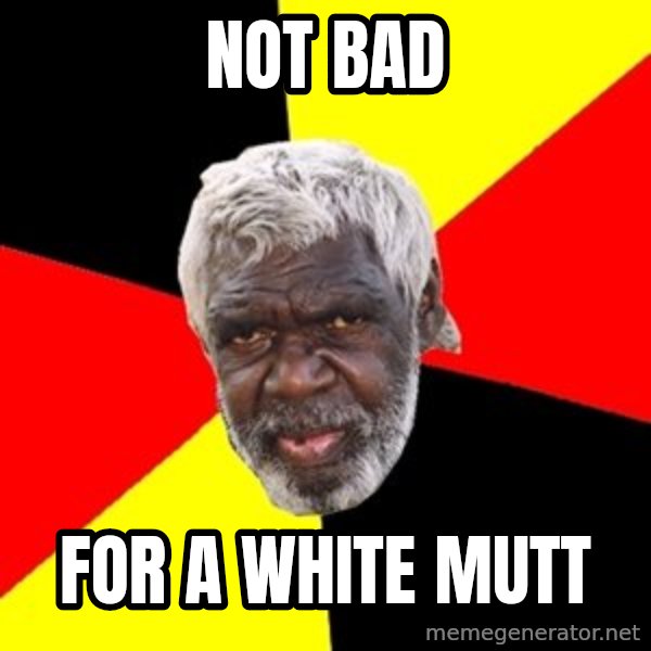 Aboriginal meme: not bad / for a white mutt