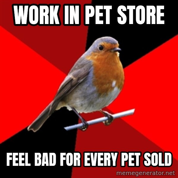 Retail Robin meme: work in pet store / feel bad for every pet sold