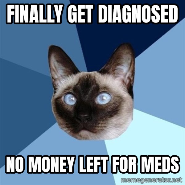 Chronic Illness Cat meme: Finally get diagnosed / no money left for meds