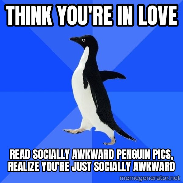 Socially Awkward Penguin meme: think you're in love / read socially awkward penguin pics, realize you're  just socially awkward