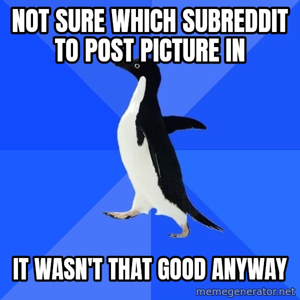 Socially Awkward Penguin meme: not sure which subreddit to post picture in / it wasn't that good anyway