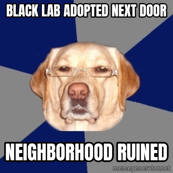 Racist Dawg meme: black lab adopted next door / neighborhood ruined