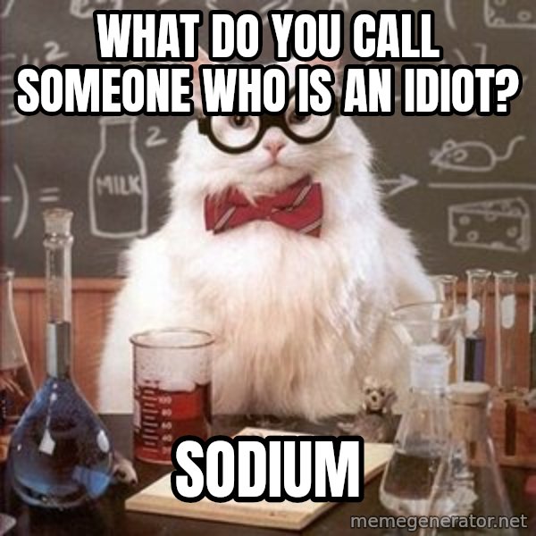 Chemistry Cat meme: What do you call someone who is an idiot? / sodium
