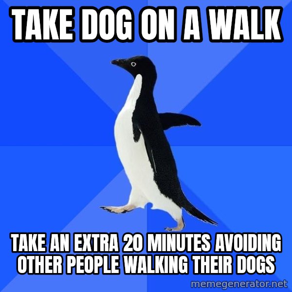 Socially Awkward Penguin meme: Take dog on a walk / take an extra 20 minutes avoiding other people walking their dogs
