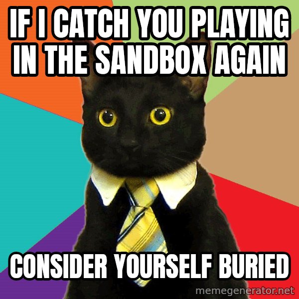 Business Cat meme: IF I CATCH YOU PLAYING IN THE SANDBOX AGAIN / CONSIDER YOURSELF BURIED