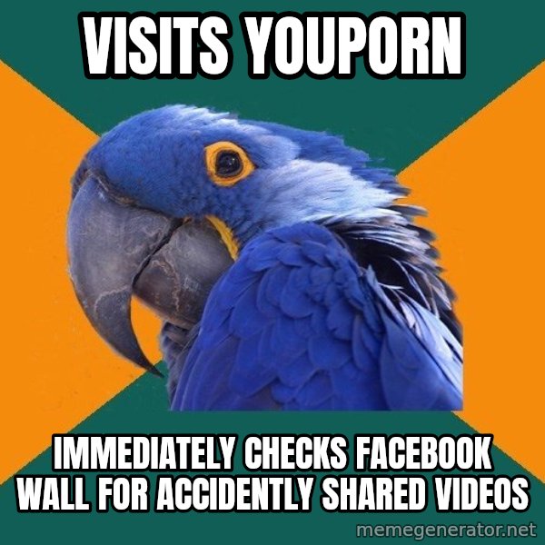 Paranoid Parrot meme: visits youporn / immediately checks facebook wall for accidently shared videos