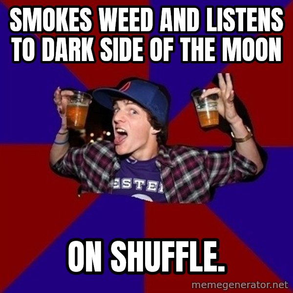 Sunny Student meme: Smokes weed and listens to dark side of the moon / On shuffle.