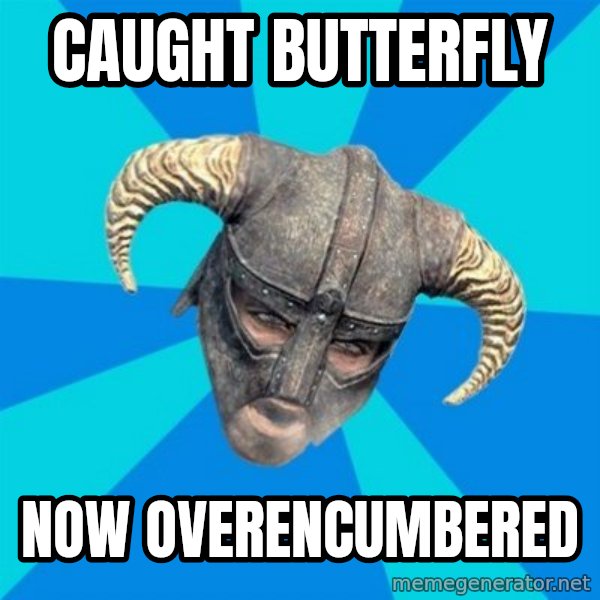 skyrim stan meme: Caught butterfly / now overencumbered
