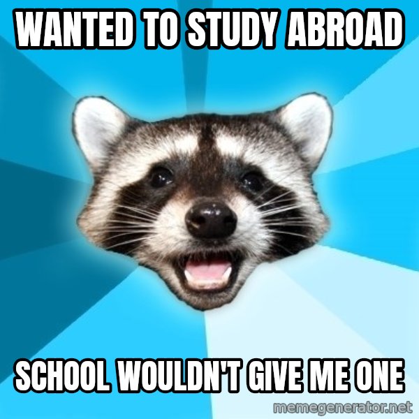 Lame Pun Coon meme: Wanted to study abroad / school wouldn't give me one