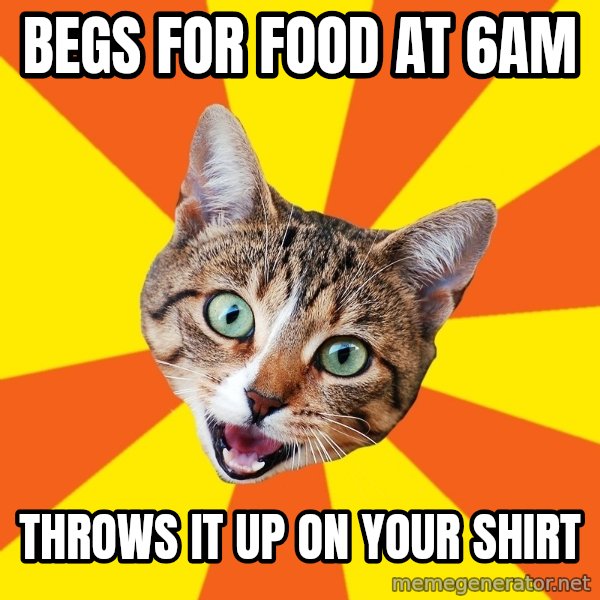 Bad Advice Cat meme: Begs for food at 6am / throws it up on your shirt