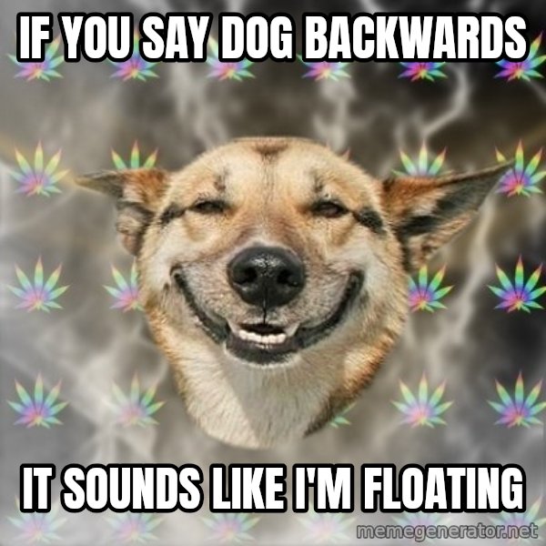 Stoner Dog meme: if you say dog backwards / it sounds like i'm floating