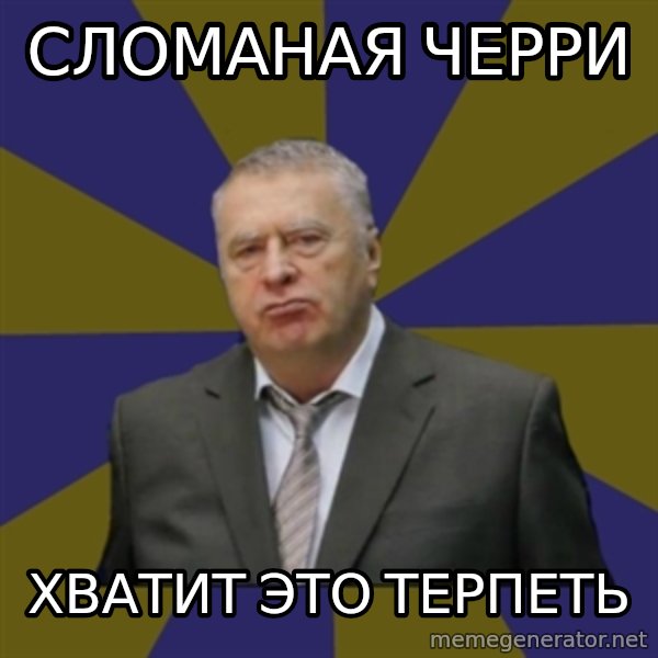 Vladimir Zhirinovsky meme: сломаная черри / хватит это терпеть