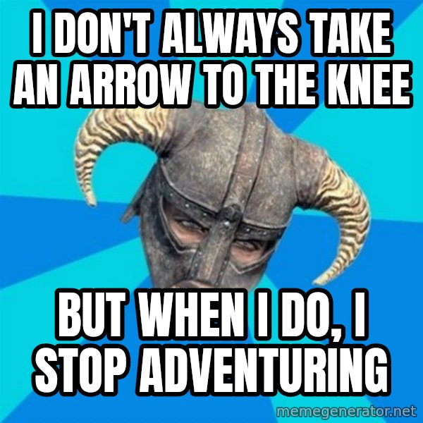 skyrim stan meme: i don't always take an arrow to the knee / but when i do, i stop adventuring