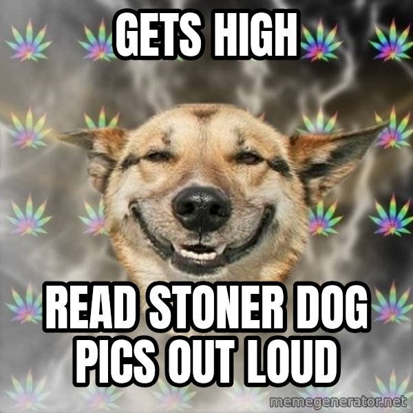 Stoner Dog meme: Gets high / read stoner dog pics out loud