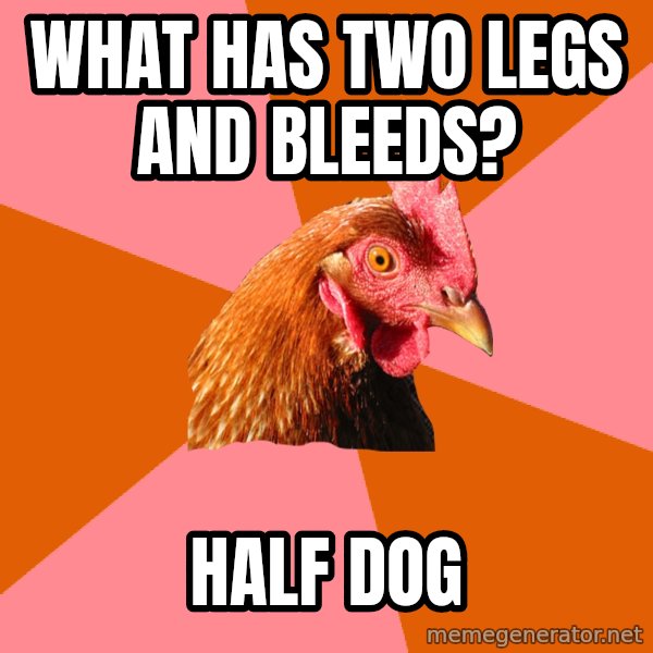 Anti Joke Chicken meme: what has two legs and bleeds? / half dog