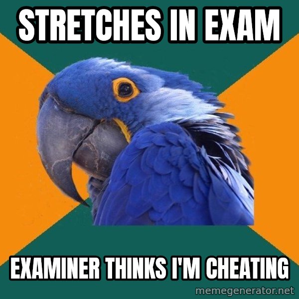Paranoid Parrot meme: STREtCHES in exam / examiner thinks i'm cheating