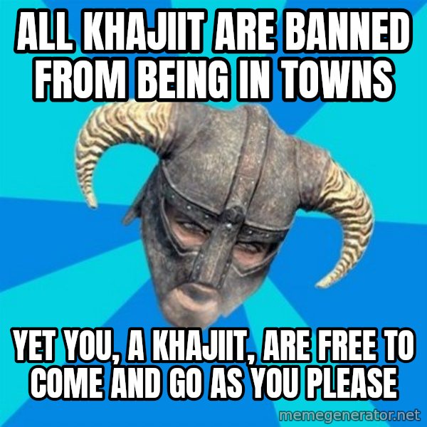skyrim stan meme: all khajiit are banned from being in towns / yet you, a khajiit, are free to come and go as you please