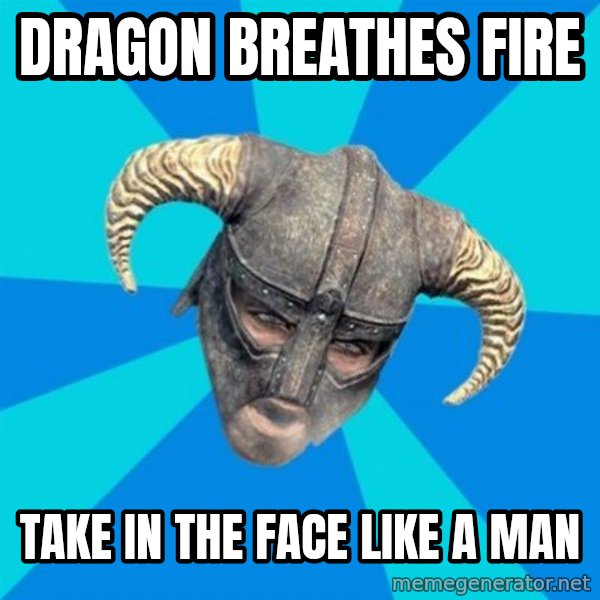 skyrim stan meme: dragon breathes fire / take in the face like a man