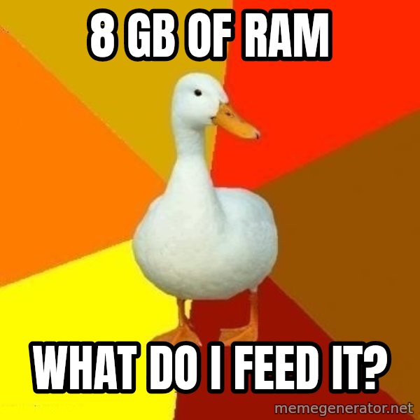 Technologically Impaired Duck meme: 8 gb of ram / what do i feed it?