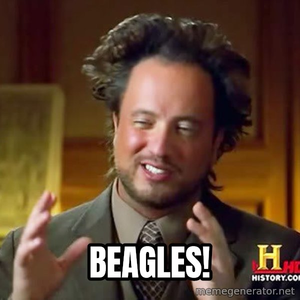 Ancient Aliens meme: Beagles!