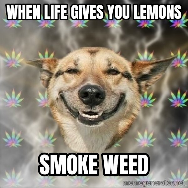 Stoner Dog meme: when life gives you lemons / smoke weed