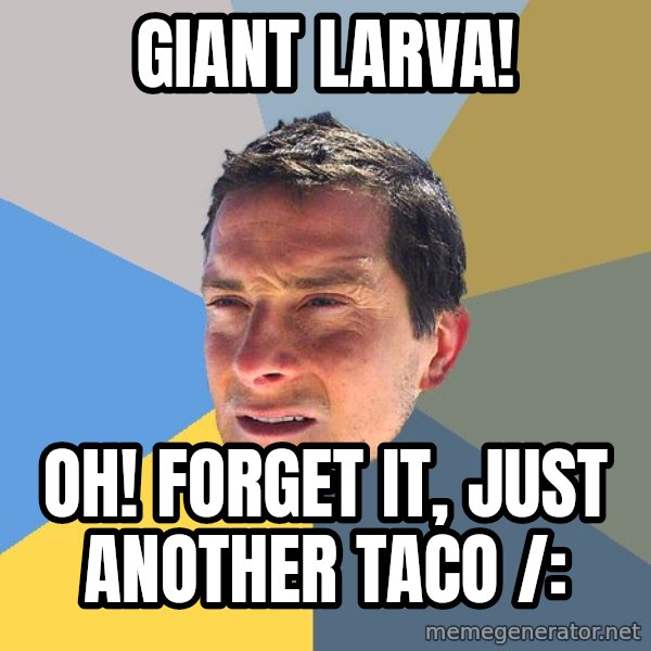 Bear Grylls meme: GIANT LARVA! / oh! forget it, just another taco /: