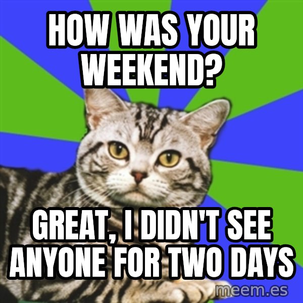 Introvert Cat meme: How was your weekend? / Great, I didn't see anyone for two days
