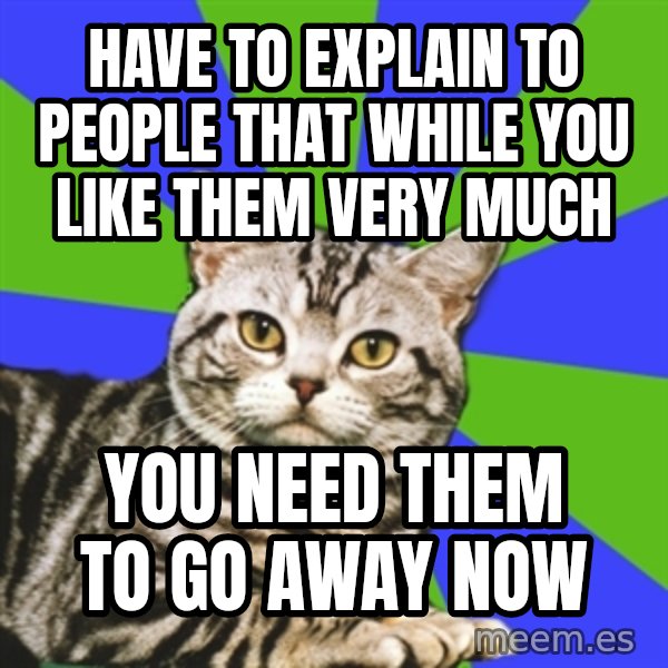 Introvert Cat meme: Have to explain to people that while you like them very much / You need them to go away now