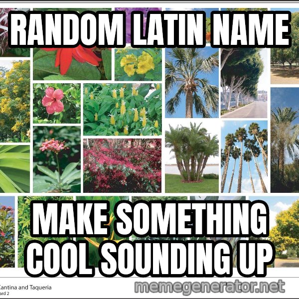 imageboard meme: Random latin name / Make something cool sounding up