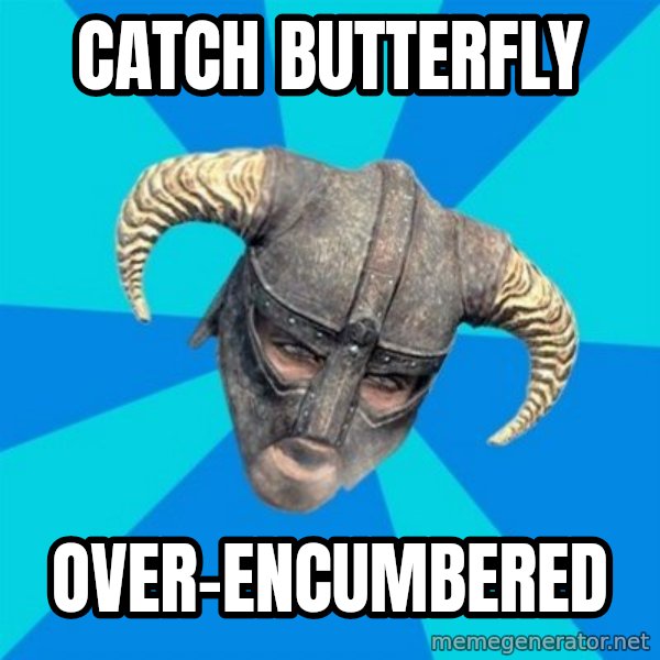 skyrim stan meme: catch butterfly / over-encumbered