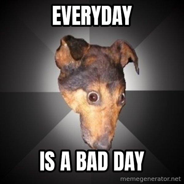 Depression Dog meme: Everyday / is a bad day