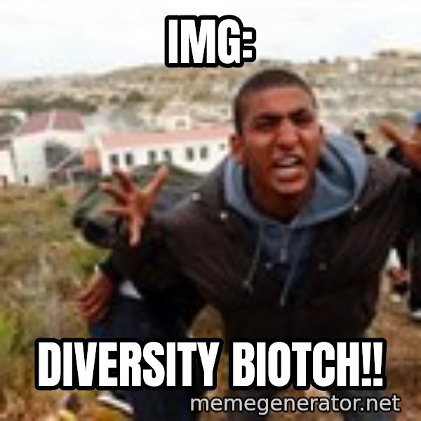 Muslim Immigrant meme: Img: / diversity biotch!!