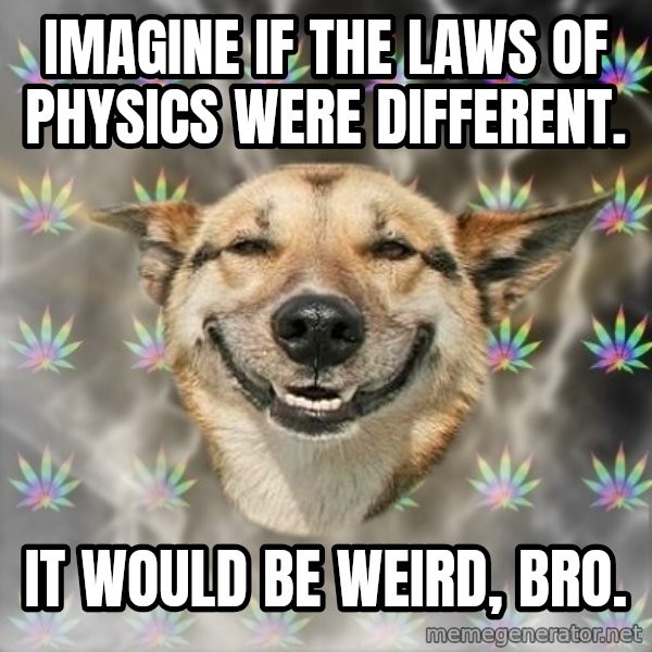 Stoner Dog meme: Imagine if the laws of physics were different. / it would be weird, bro.