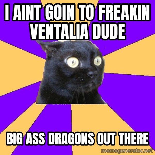 Anxiety Cat meme: i aint goin to freakin ventalia dude / big ass dragons out there