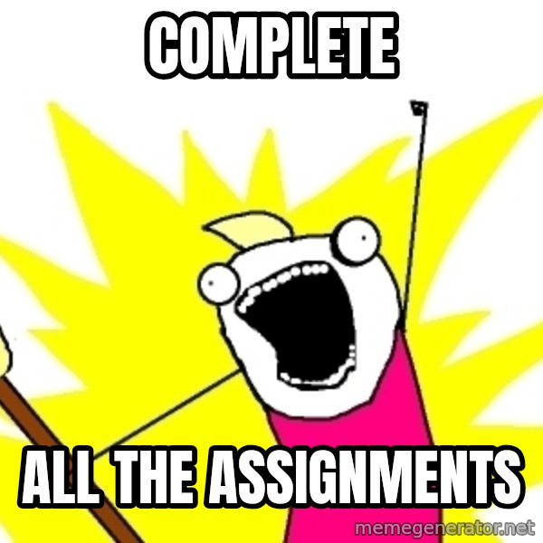 X ALL THE THINGS meme: Complete / all the assignments