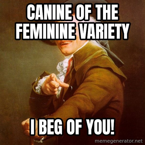 Joseph Ducreux meme: Canine of the feminine variety / I beg of you!