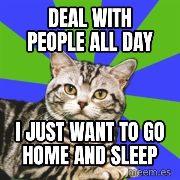 Introvert Cat meme: Deal with people all day / I just want to go home and sleep