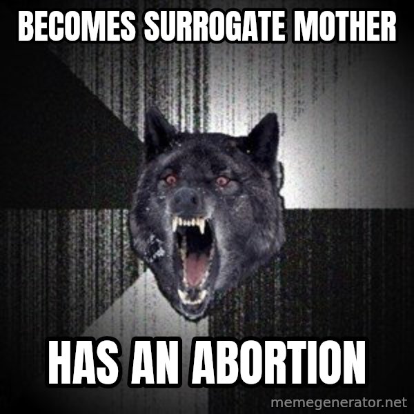 Insanity Wolf meme: bECOMES SURROGATE MOTHER / HAS AN ABORTION