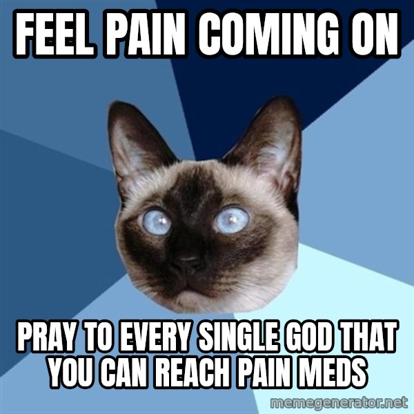 Chronic Illness Cat meme: FEEL PAIN COMING ON / PRAY TO EVERY SINGLE GOD THAT YOU CAN REACH PAIN MEDS