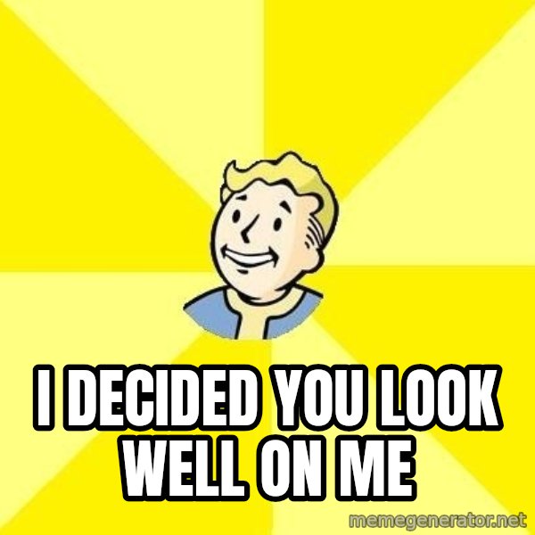 Fallout 3 meme: i decided you look well on me