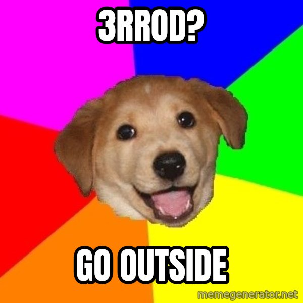 Advice Dog meme: 3rrod? / go outside