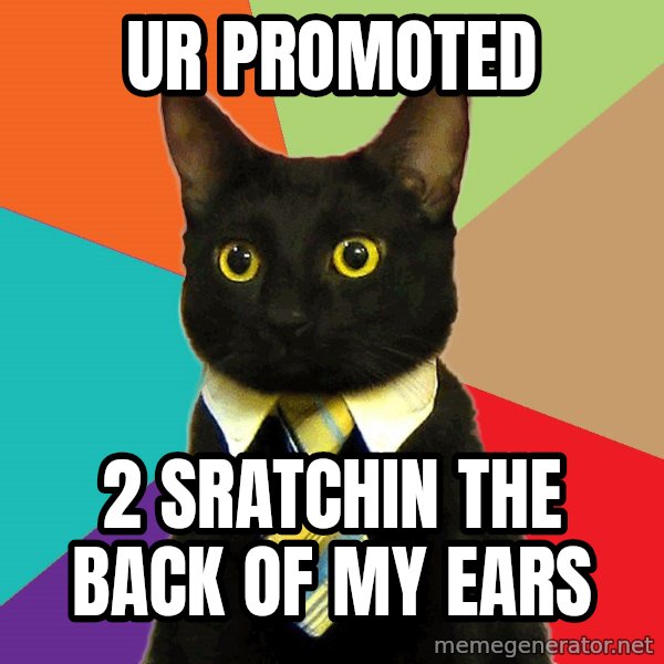 Business Cat meme: ur promoted / 2 sratchin the back of my ears
