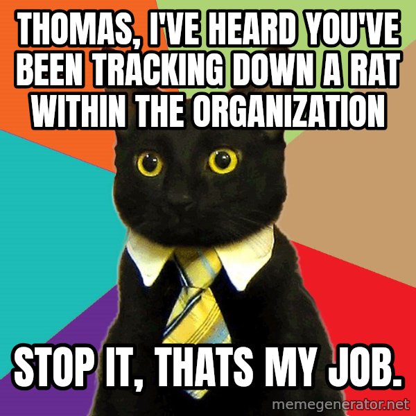 Business Cat meme: Thomas, I've heard you've been tracking down a Rat within the organization / Stop it, thats my job.