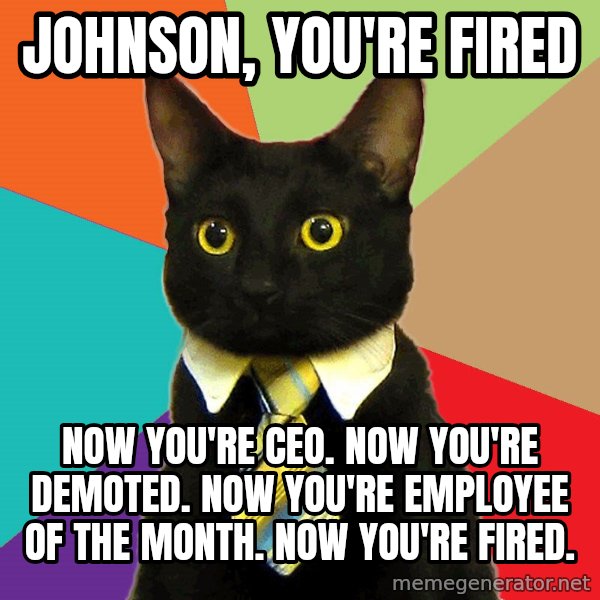 Business Cat meme: johnson, you're fired / now you're ceo. now you're demoted. now you're employee of the month. now you're fired.